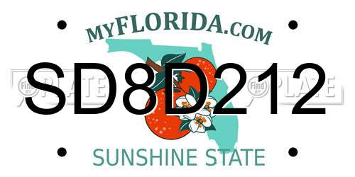 SD8D212 Florida License Plate