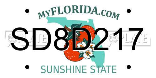 SD8D217 Florida License Plate