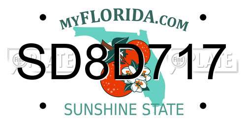 SD8D717 Florida License Plate