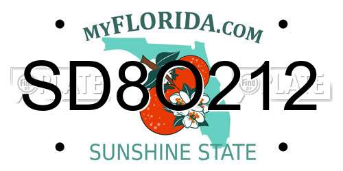 SD8O212 Florida License Plate