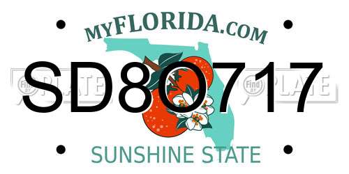 SD8O717 Florida License Plate