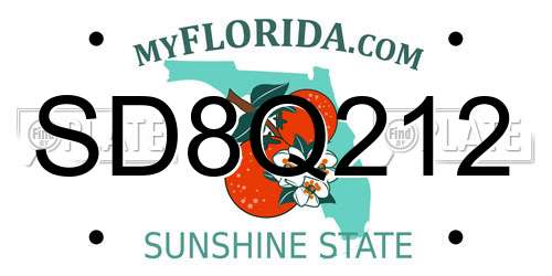 SD8Q212 Florida License Plate