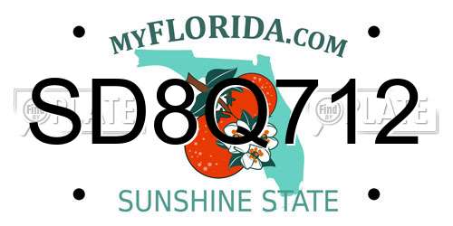 SD8Q712 Florida License Plate