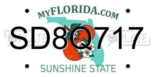 SD8Q717 Florida License Plate