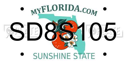 SD8S105 Florida License Plate