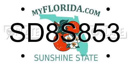 SD8S853 Florida License Plate