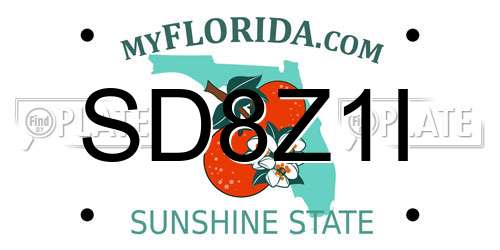 SD8Z1I Florida License Plate