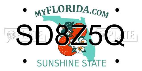 SD8Z5Q Florida License Plate