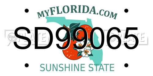 SD99065 Florida License Plate