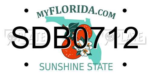 SDB0712 Florida License Plate