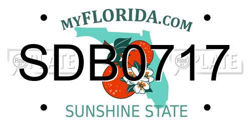 SDB0717 Florida License Plate