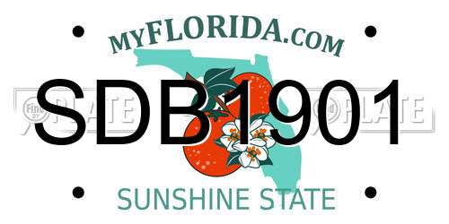 SDB1901 Florida License Plate