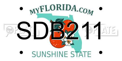 SDB211 Florida License Plate