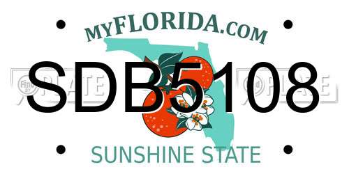 SDB5108 Florida License Plate