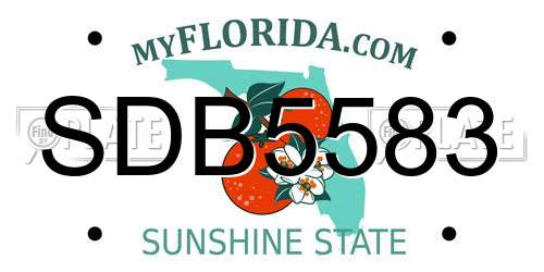 SDB5583 Florida License Plate