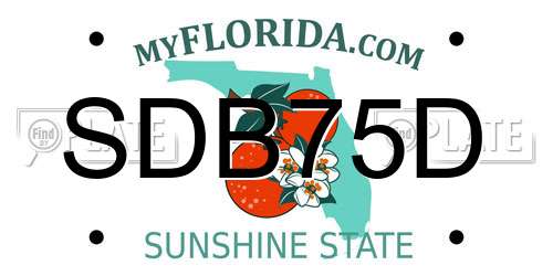 SDB75D Florida License Plate
