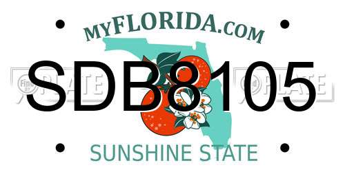 SDB8105 Florida License Plate