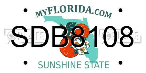 SDB8108 Florida License Plate