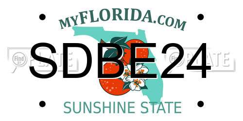 SDBE24 Florida License Plate