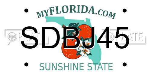 SDBJ45 Florida License Plate