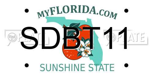 SDBT11 Florida License Plate