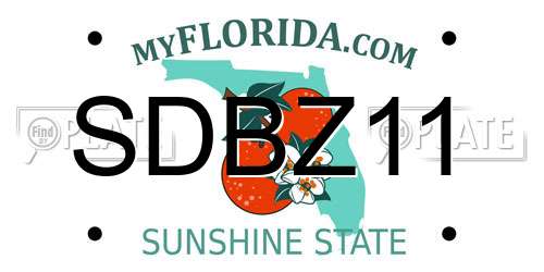 SDBZ11 Florida License Plate