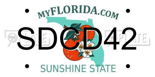 SDCD42 Florida License Plate