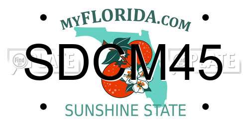 SDCM45 Florida License Plate