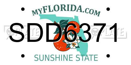 SDD6371 Florida License Plate