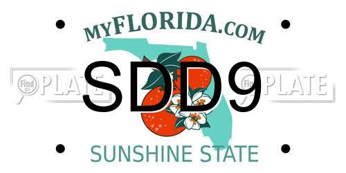 SDD9 Florida License Plate