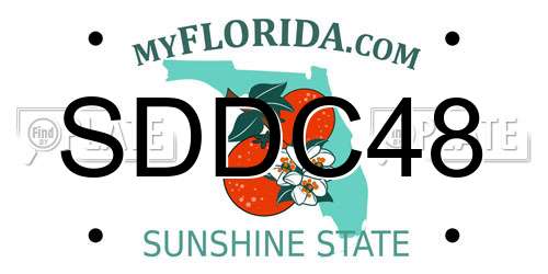 SDDC48 Florida License Plate