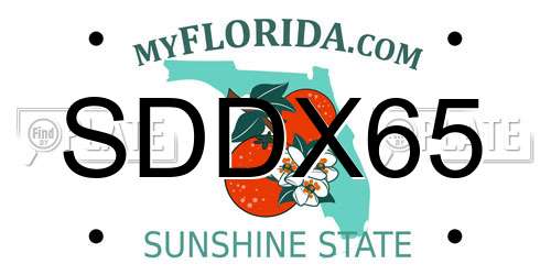 SDDX65 Florida License Plate