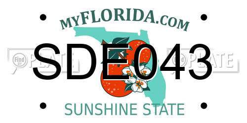 SDE043 Florida License Plate