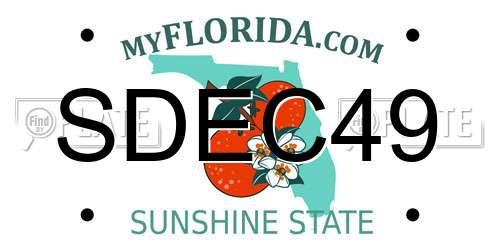 SDEC49 Florida License Plate