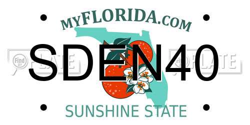 SDEN40 Florida License Plate