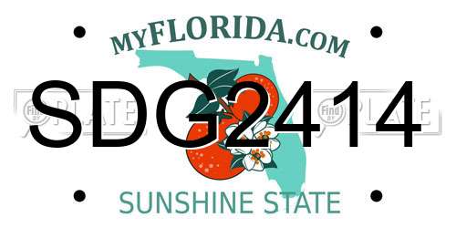 SDG2414 Florida License Plate