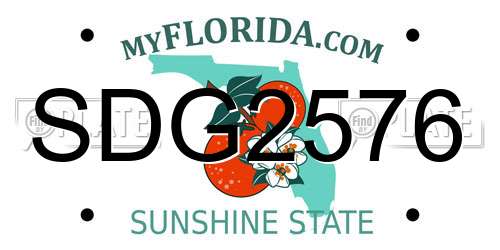 SDG2576 Florida License Plate