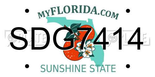 SDG7414 Florida License Plate
