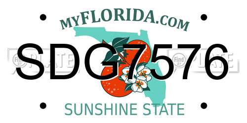 SDG7576 Florida License Plate