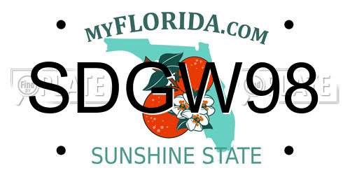 SDGW98 Florida License Plate