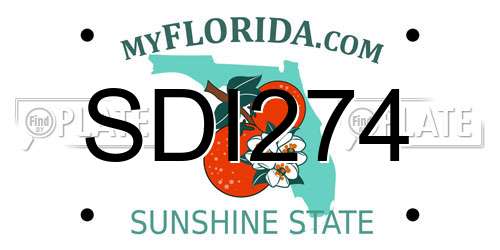 SDI274 Florida License Plate
