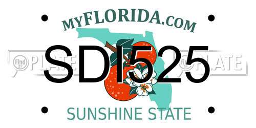 SDI525 Florida License Plate