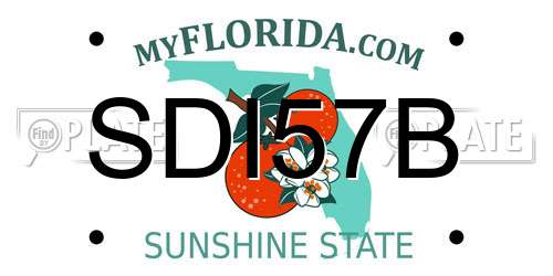 SDI57B Florida License Plate