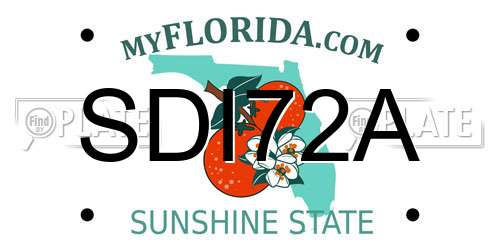 SDI72A Florida License Plate