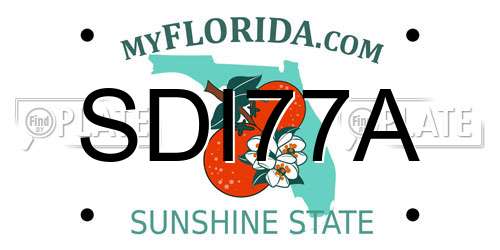 SDI77A Florida License Plate