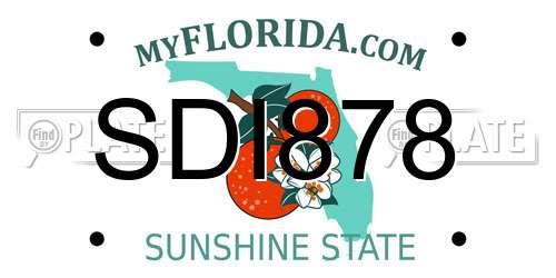 SDI878 Florida License Plate