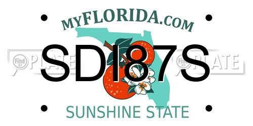 SDI87S Florida License Plate