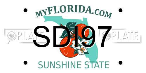 SDI97 Florida License Plate