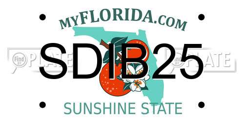 SDIB25 Florida License Plate