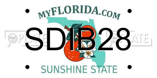 SDIB28 Florida License Plate